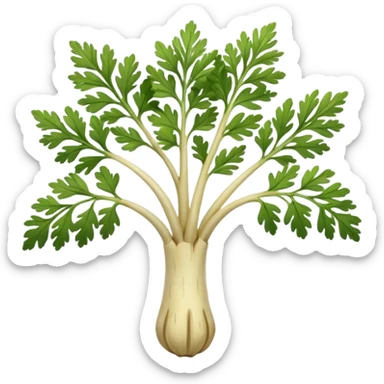 parsley root sticker