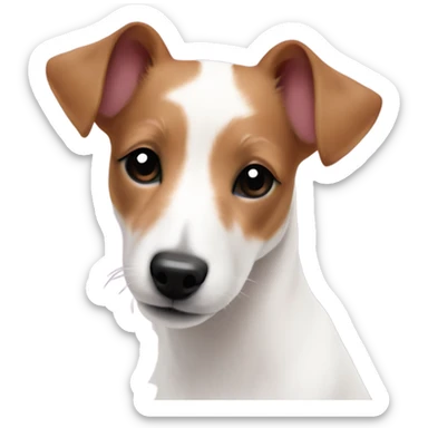 cute jack russell terrier holding light pink peonies sticker