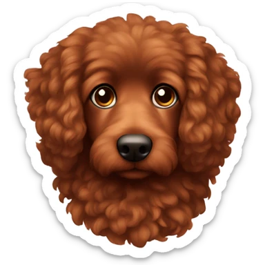 a brownish reddish german poddle sticker