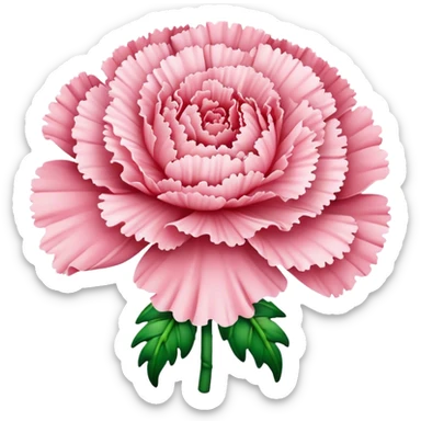  Shell Pink carnations  sticker