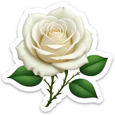 white rose with sten and leaves sticker