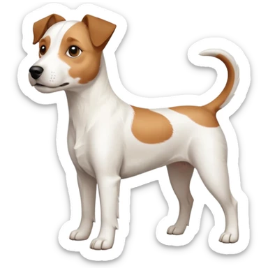 a full body white parson russell looking dog the size of a kelpie with light brown ears and a light brown patch on one eye and a large snout sticker