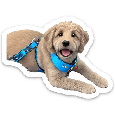 a focused dog with collar sticker