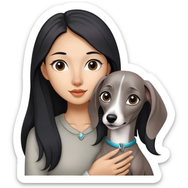 Slim Chinese girl with long black hair holding solid grey Italian greyhound with no white markings on nose sticker