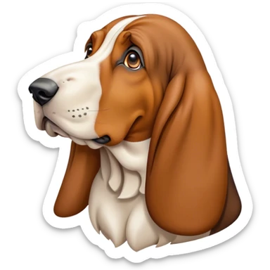 Basset hound sticker