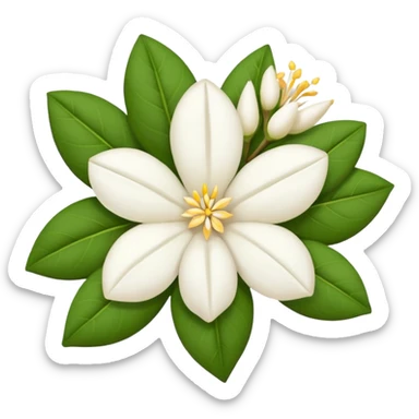 dry indian jasmine flower without leaf in emoji format  sticker