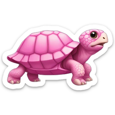 pink tortoise sticker