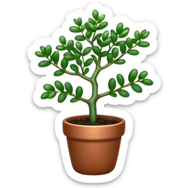 Cinematic Realistic Jade Plant Emoji, Thick and glossy, with dark green, round leaves that shine under the light. The sturdy stems and vibrant foliage give a sense of prosperity and tranquility. Soft glowing outline, capturing the essence of good luck, growth, and natural elegance in a flourishing jade plant! sticker