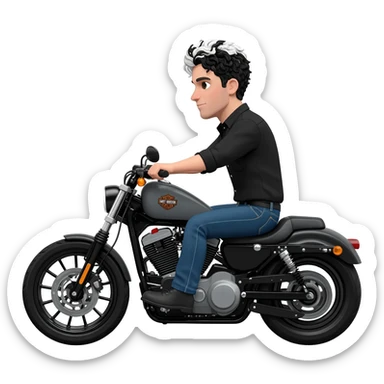 White guy with short wavy black and white hair riding Harley Davidson in jeans and black shirt sticker