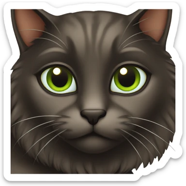 Black and Brown cat with Green eyes  sticker