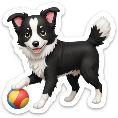 border collie playing with a toy sticker