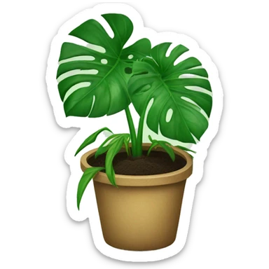 Monstera plant in soil sticker