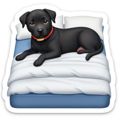 Tugging black lab/amstaff dog into bed sticker
