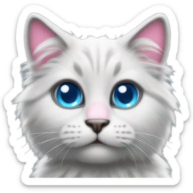 Very fluffy cat with pink ears and nose blue eyes and grey inbetween ears sticker