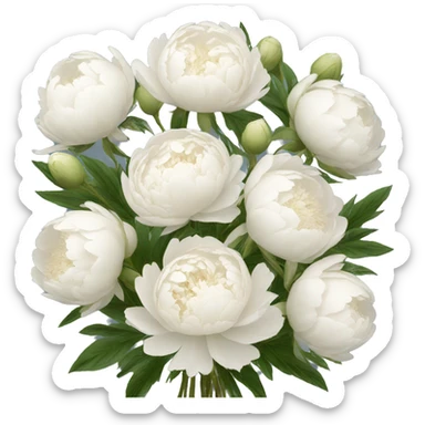 White peonies bouquet  sticker