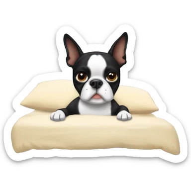 boston terrier laying in bed  sticker