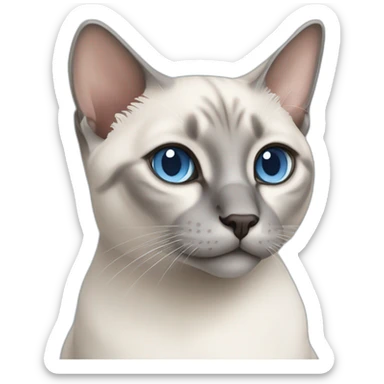 Blue Tabby Point siamese cat sticker