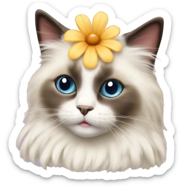 Cute small fluffy ragdoll cat with a flower on its head sticker