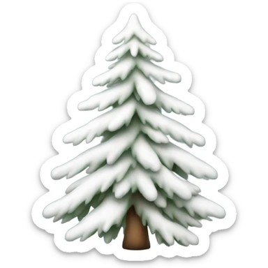  actual white fir christmas tree isolated.  sticker