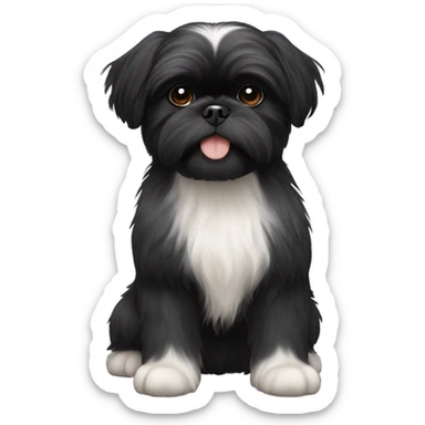 Black shih tzu puppy with short hair sticker