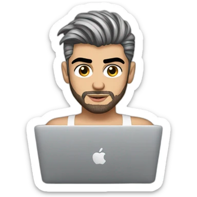 zayn malik in nuisette with macbook working sticker