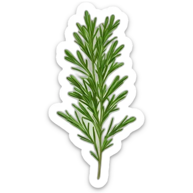 rosemary herb for hair growth sticker