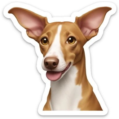 Podenco sticker