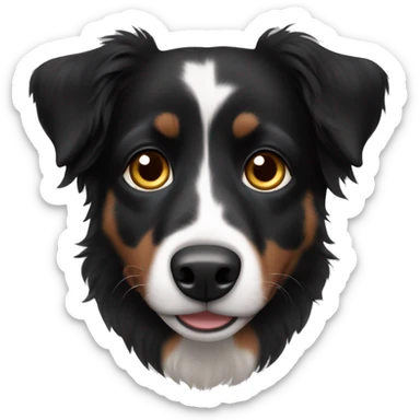 Small black australian shepherd dog with dark brown eyes and black face sticker