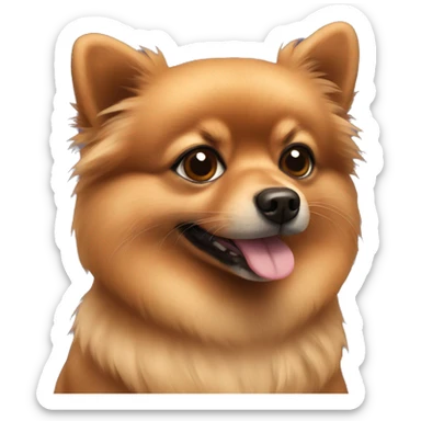 A small brown Pomeranian. sticker