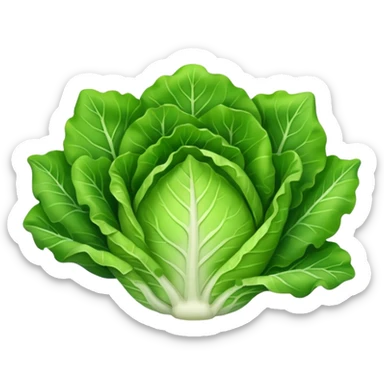 lettuce vegetable sticker