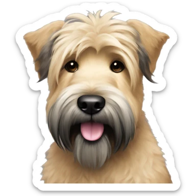 Wheaten terrier with long fluffy hair, black ears and black chin sticker