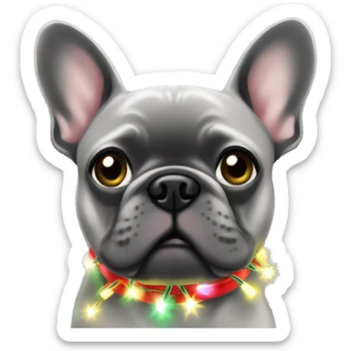 Grey frenchie chewing on Christmas lights sticker