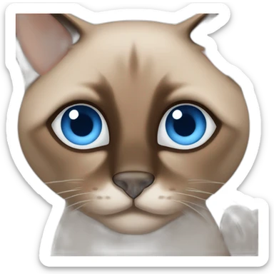 a chocolate brown Siamese cat with blue eyes sticker