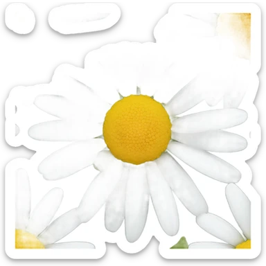 Daisy flower sticker