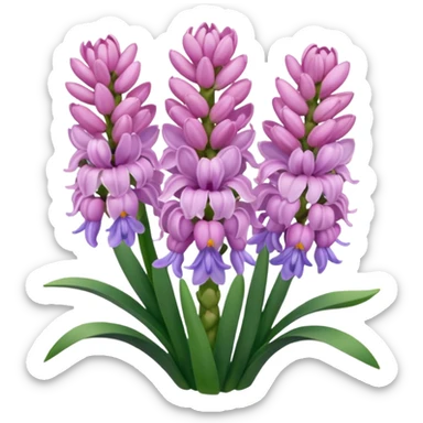 a light margenta  Hyacinth sticker