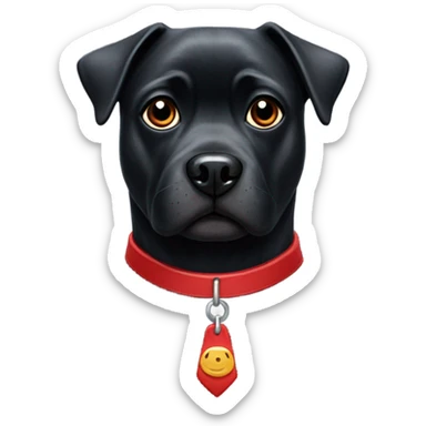 Black dog with short white scruff on mouth and chest pug nose and red collar  sticker