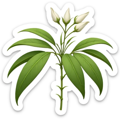 wilted jasmine sticker