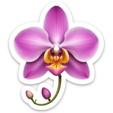 Orchid flower emoji sticker