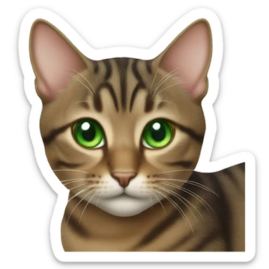 Tabby cat with green eyes sticker
