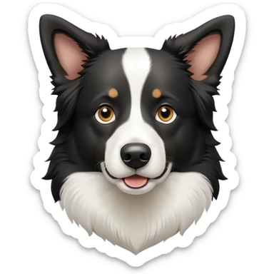 Black and white border collie shepherd dog with alert expression sticker