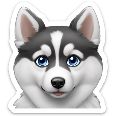 Pomsky black & whire blue eyes sticker