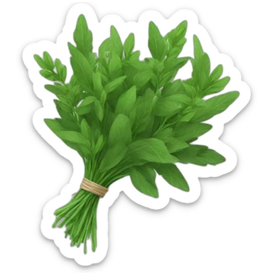bouquet of green herbs sticker