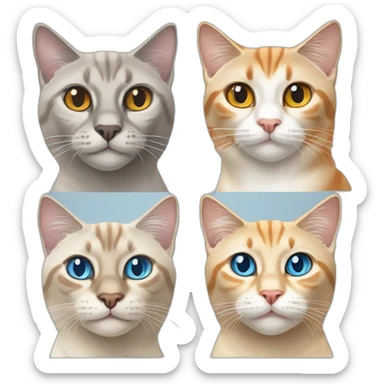 one grey lynx point siamese cat with blue eyes ,one orange and white tabby cat with yellow eyes ,one orange cat with orange eyes sticker