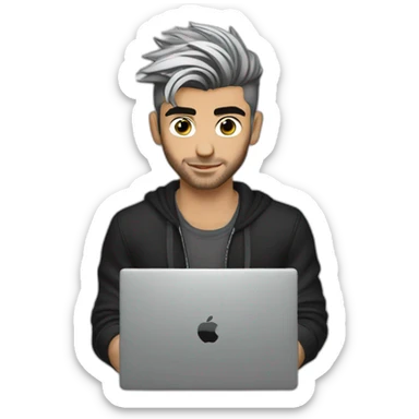 zayn malik with laptop sticker