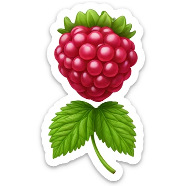 Raspberry  sticker