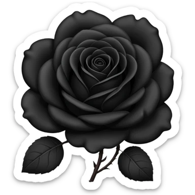 black rose, without green leaves, just flower sticker
