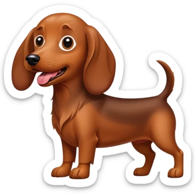 Un chien teckel marron qui tire la langue  sticker