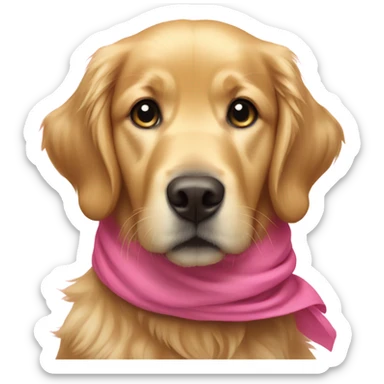 Golden Retriever with a pink neck scarf  sticker