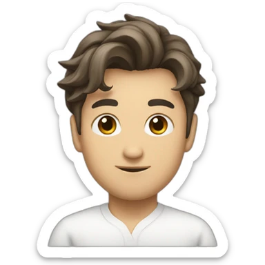 Sadyr Japarov sticker