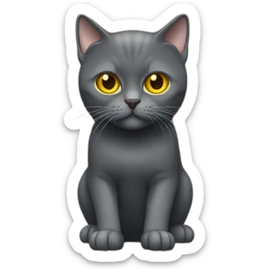 british dark gray short hair cat yellow eyes with gun sticker